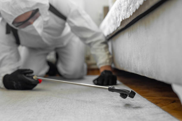 Professional Termite Control technician working in Aledo, TX