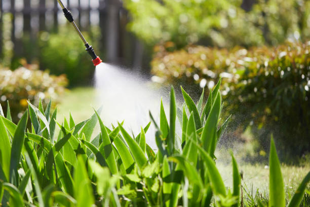 24/7 Emergency Termite Control experts in Aledo, TX