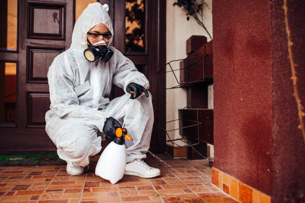 Reliable Termite Control contractor in Aledo, TX by Nex Pest Control